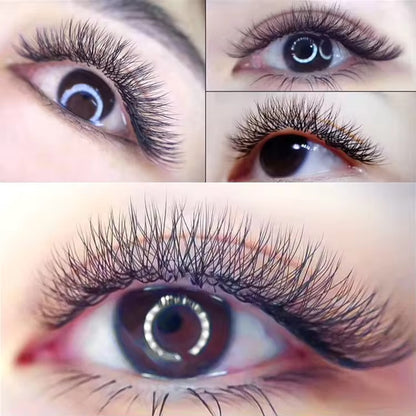 Clover Lashes